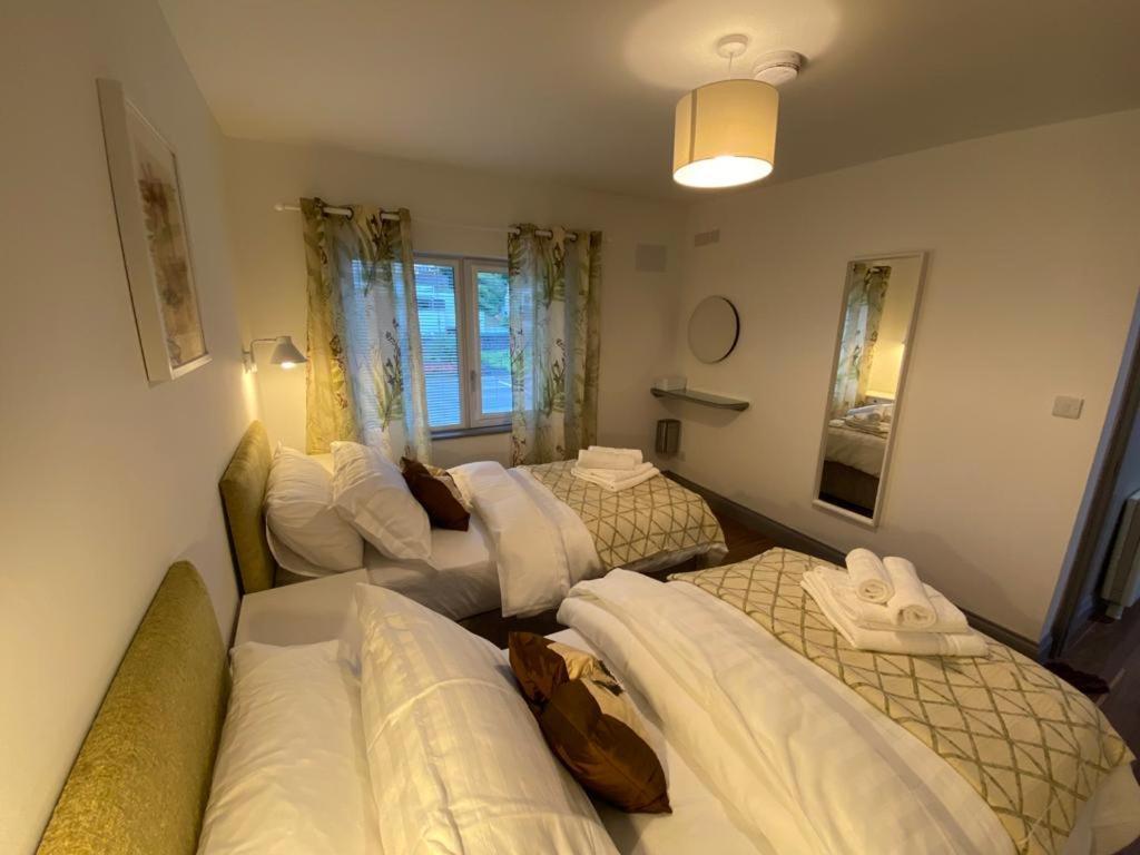 Location Location - Gorgeous 3 Bed Apartment In Киларни Екстериор снимка